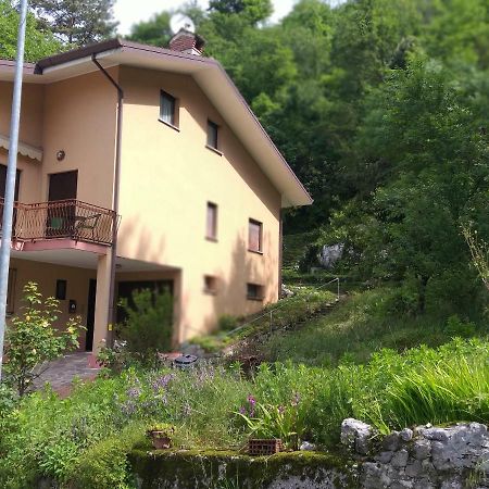 Terrazza Sul Borgo Villa Venzone Ngoại thất bức ảnh